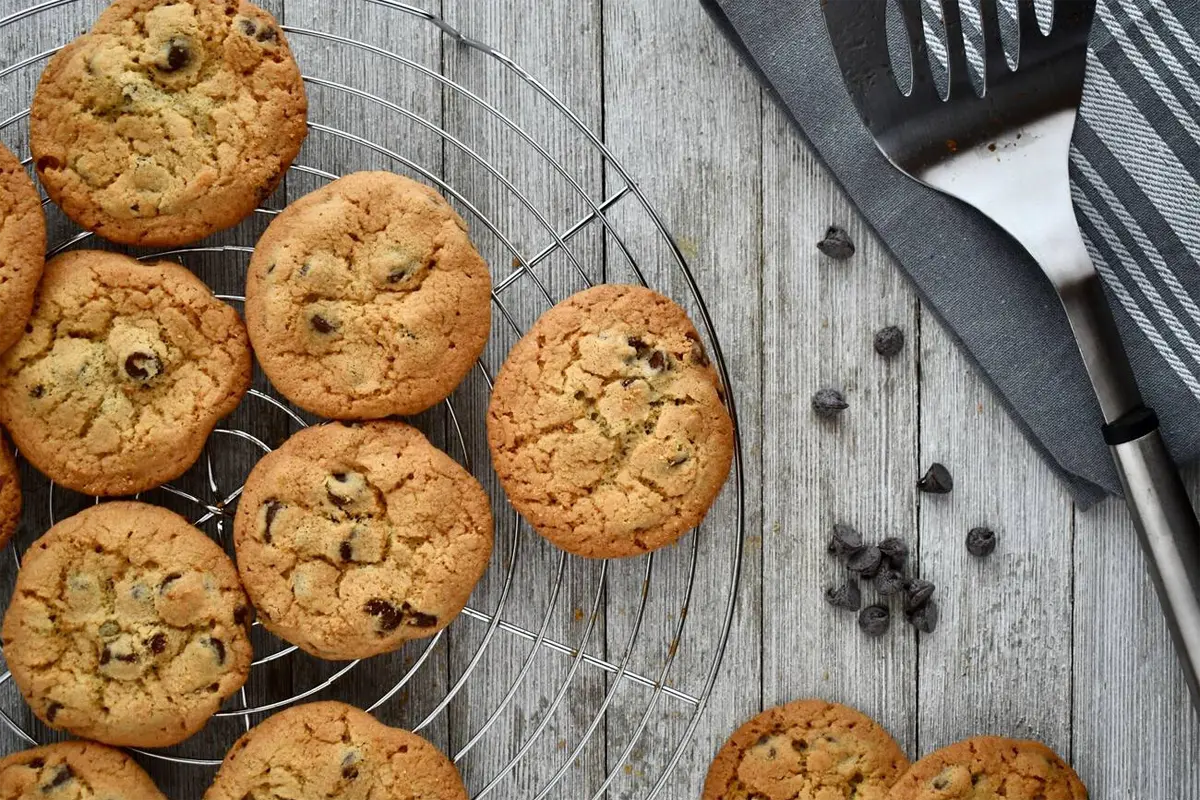 Embarking on a Delicious Journey: The World of Chocolate Chip Cookies